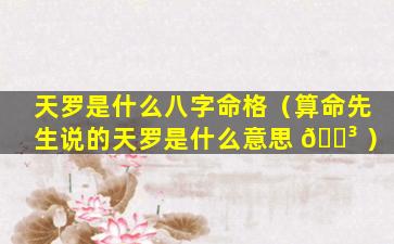 天罗是什么八字命格（算命先生说的天罗是什么意思 🐳 ）